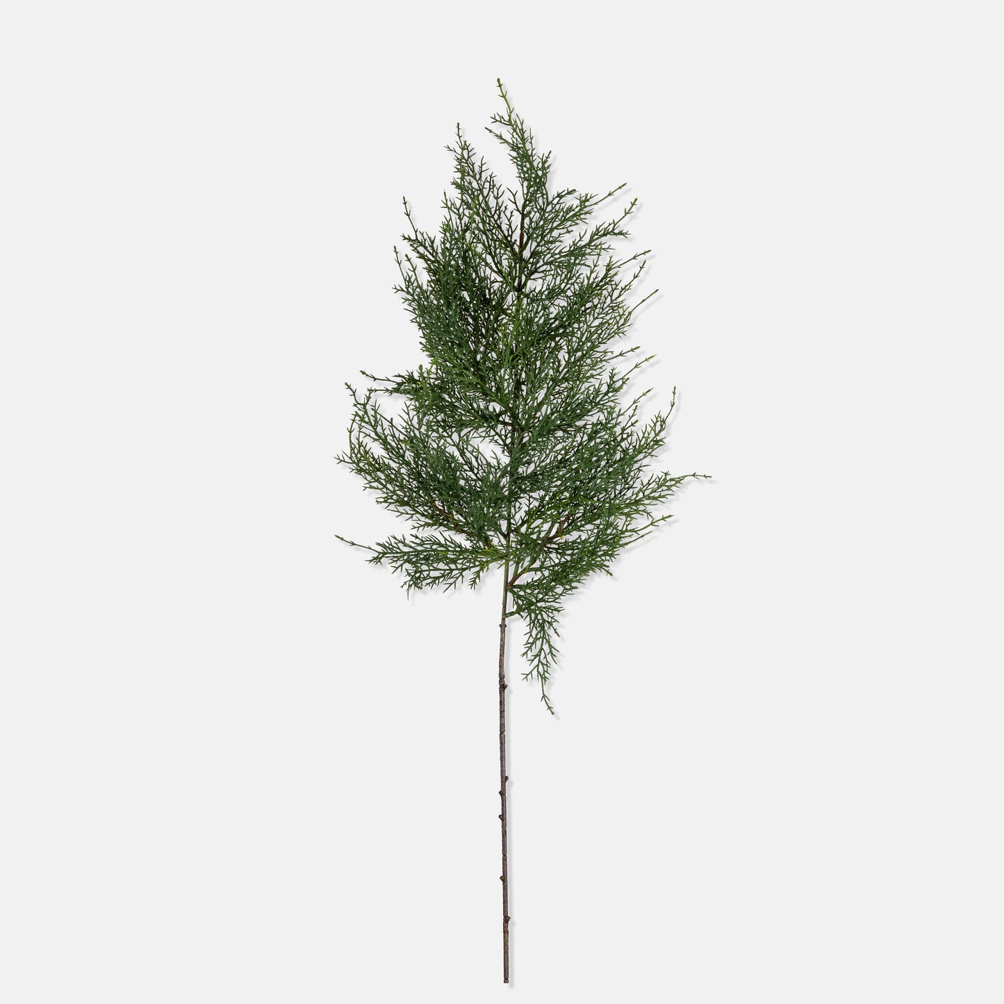 ARTIFICIAL CYPRESS BRANCH - *Pre-order* SHIPPING July 2026
