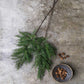 ARTIFICIAL CYPRESS BRANCH - *Pre-order* SHIPPING July 2026