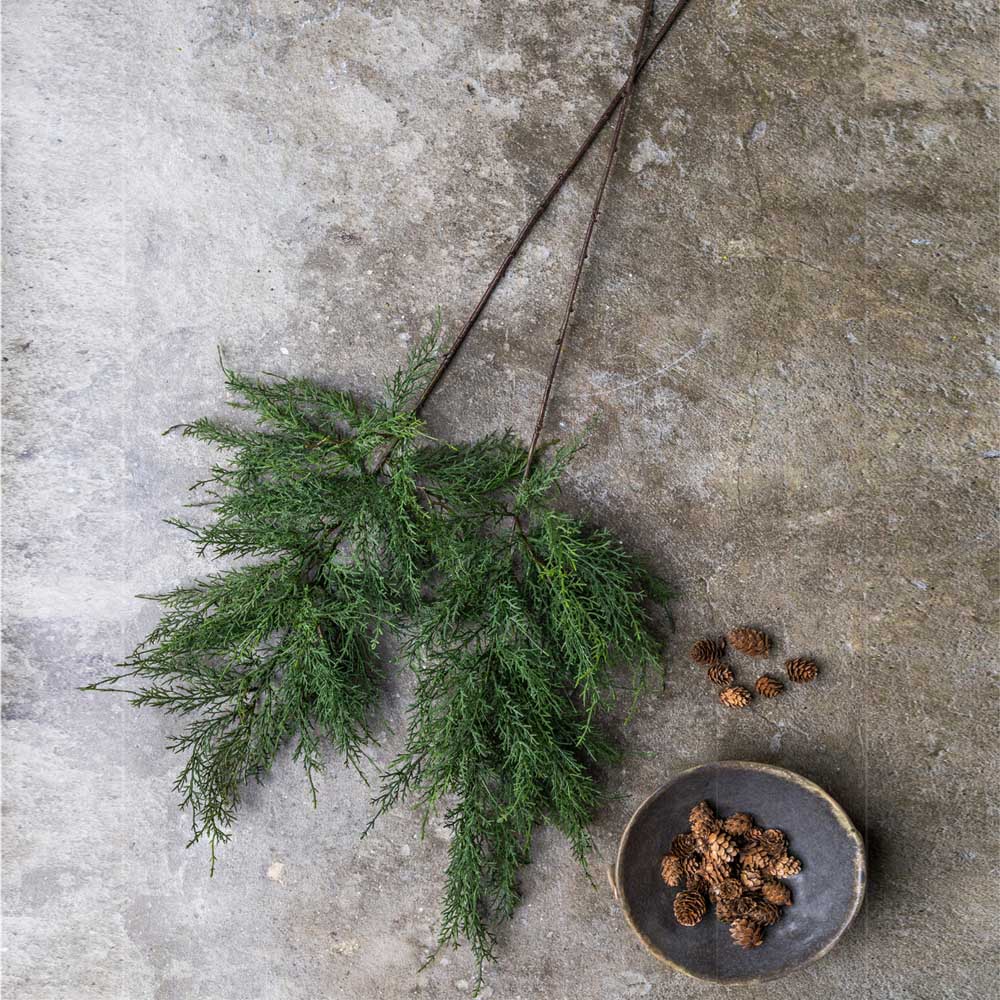 ARTIFICIAL CYPRESS BRANCH - *Pre-order* SHIPPING July 2026
