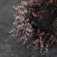 ARTIFICIAL EUCALYPTUS WREATH, DUSK - *Pre-order* SHIPPING July 2026