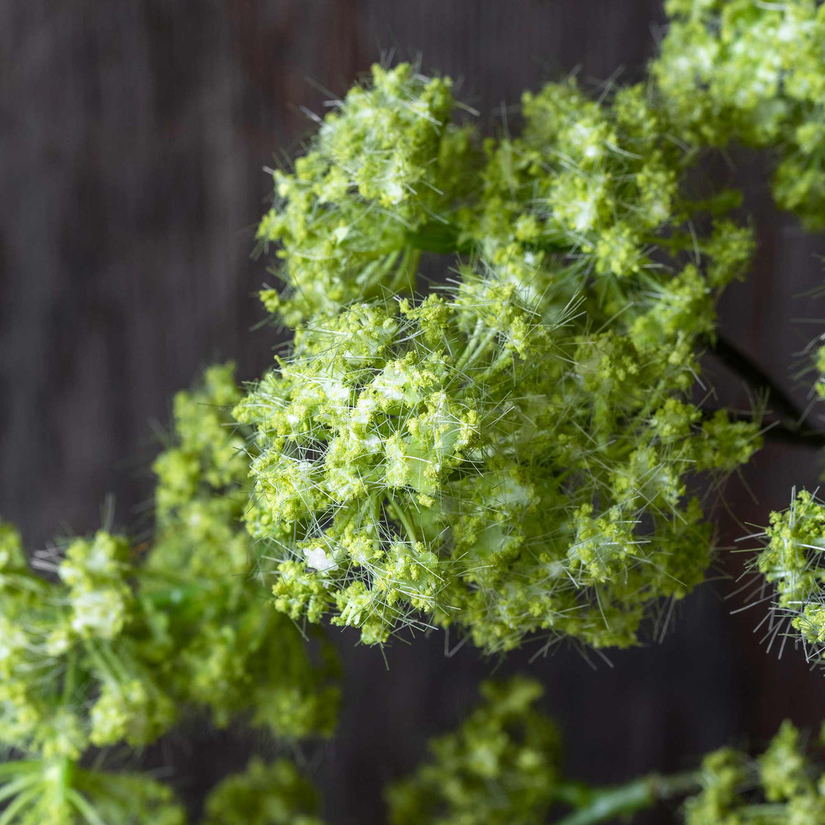 ARTIFICIAL GUELDER, SPRING GREEN - *PRE ORDER* Due Early January 2027