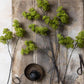 ARTIFICIAL GUELDER, SPRING GREEN