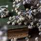 ARTIFICIAL GYPSOPHILA SPRAY - *Pre-order* SHIPPING July 2026