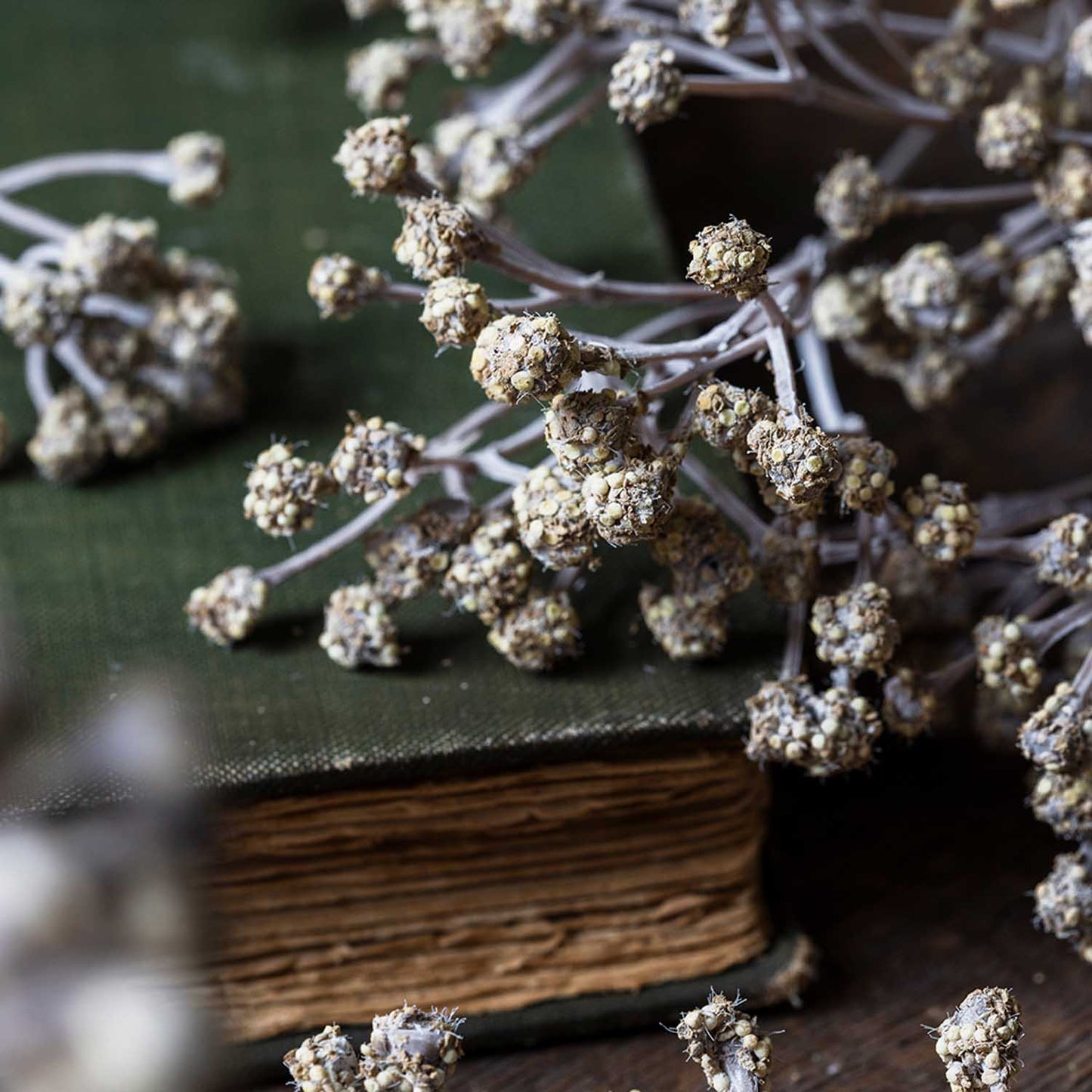 ARTIFICIAL GYPSOPHILA SPRAY - *Pre-order* SHIPPING July 2026