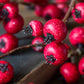 ARTIFICIAL HAWTHORN BERRY, RUBY - *Pre-order* SHIPPING July 2026