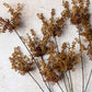ARTIFICIAL HEDGE PARSLEY - *Pre-order* SHIPPING MAY 2026