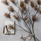 ARTIFICIAL HEDGE PARSLEY - *Pre-order* SHIPPING MAY 2026