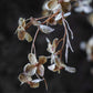 ARTIFICIAL HIBERNAL BLOSSOM, SOFT BLUSH - *Pre-order* SHIPPING July 2026