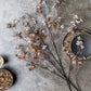 ARTIFICIAL HIBERNAL BLOSSOM, SOFT BLUSH - *Pre-order* SHIPPING July 2026