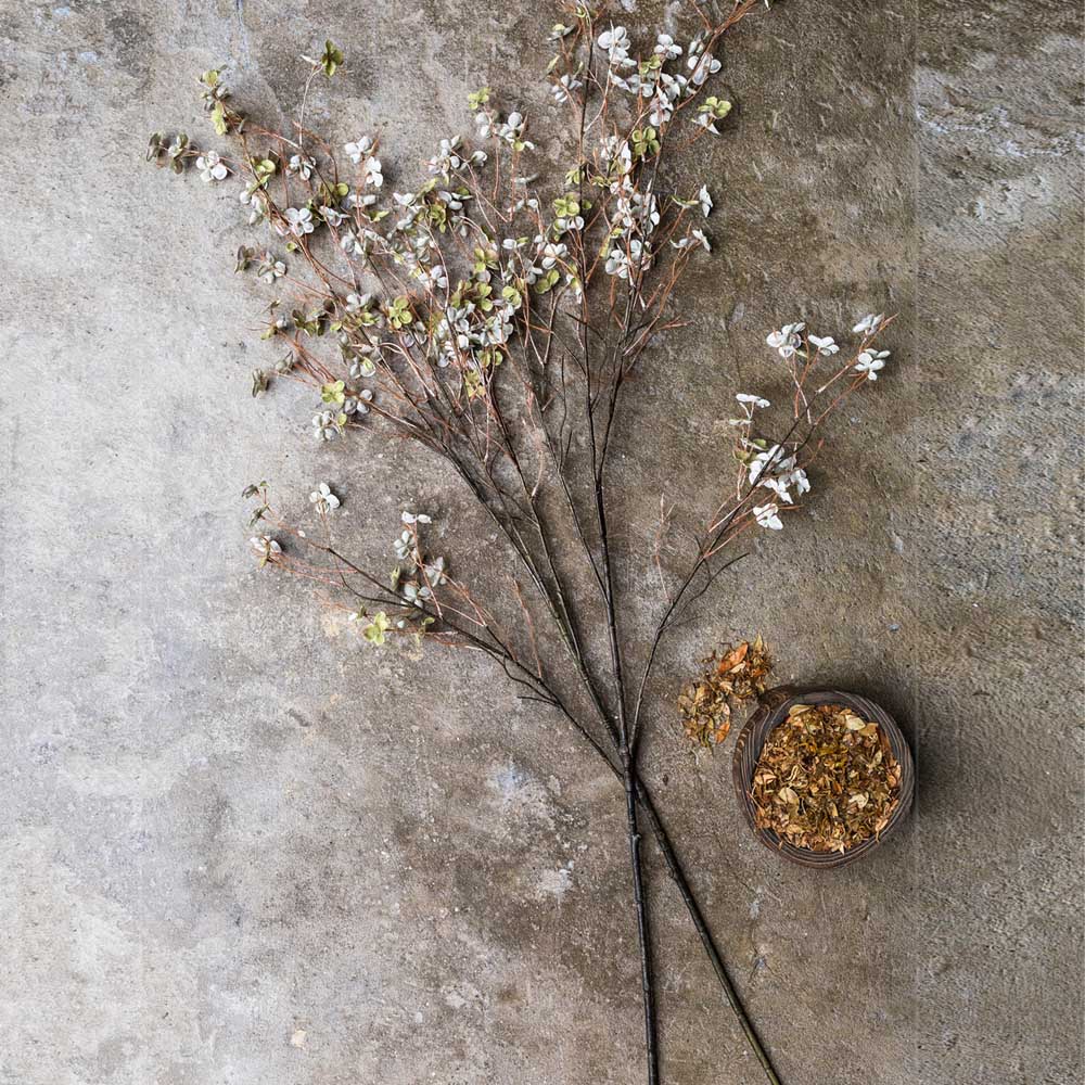 ARTIFICIAL HIBERNAL BLOSSOM, SOFT SAGE - *Pre-order* SHIPPING July 2026