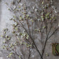 ARTIFICIAL HIBERNAL BLOSSOM, SOFT SAGE - *Pre-order* SHIPPING July 2026