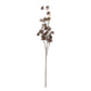 ARTIFICIAL HOGWEED - *Pre-order* SHIPPING July 2026