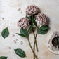 ARTIFICIAL REAL TOUCH HYDRANGEA, ANTIQUE BLUSH *Pre Order * July 2026