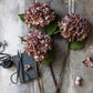 ARTIFICIAL HYDRANGEA, ANTIQUE PINK- *Pre-order* SHIPPING July 2026