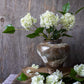 ARTIFICIAL REAL TOUCH HYDRANGEA, ZEST