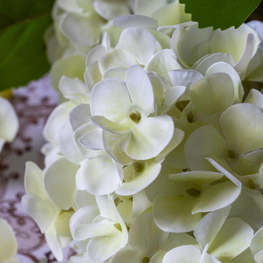 ARTIFICIAL REAL TOUCH HYDRANGEA, ZEST