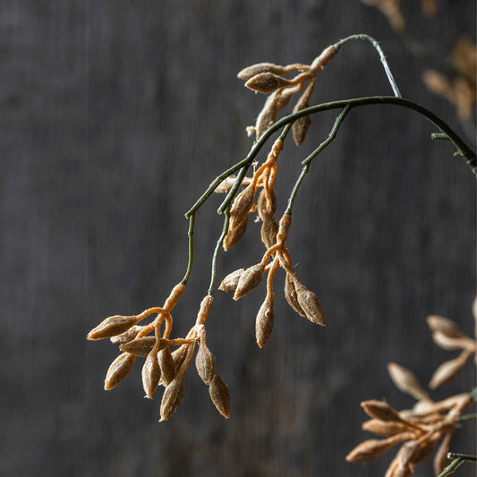 ARTIFICIAL KANGAROO PAW - *Pre-order* SHIPPING MAY 2026