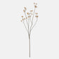 ARTIFICIAL KANGAROO PAW - *Pre-order* SHIPPING MAY 2026