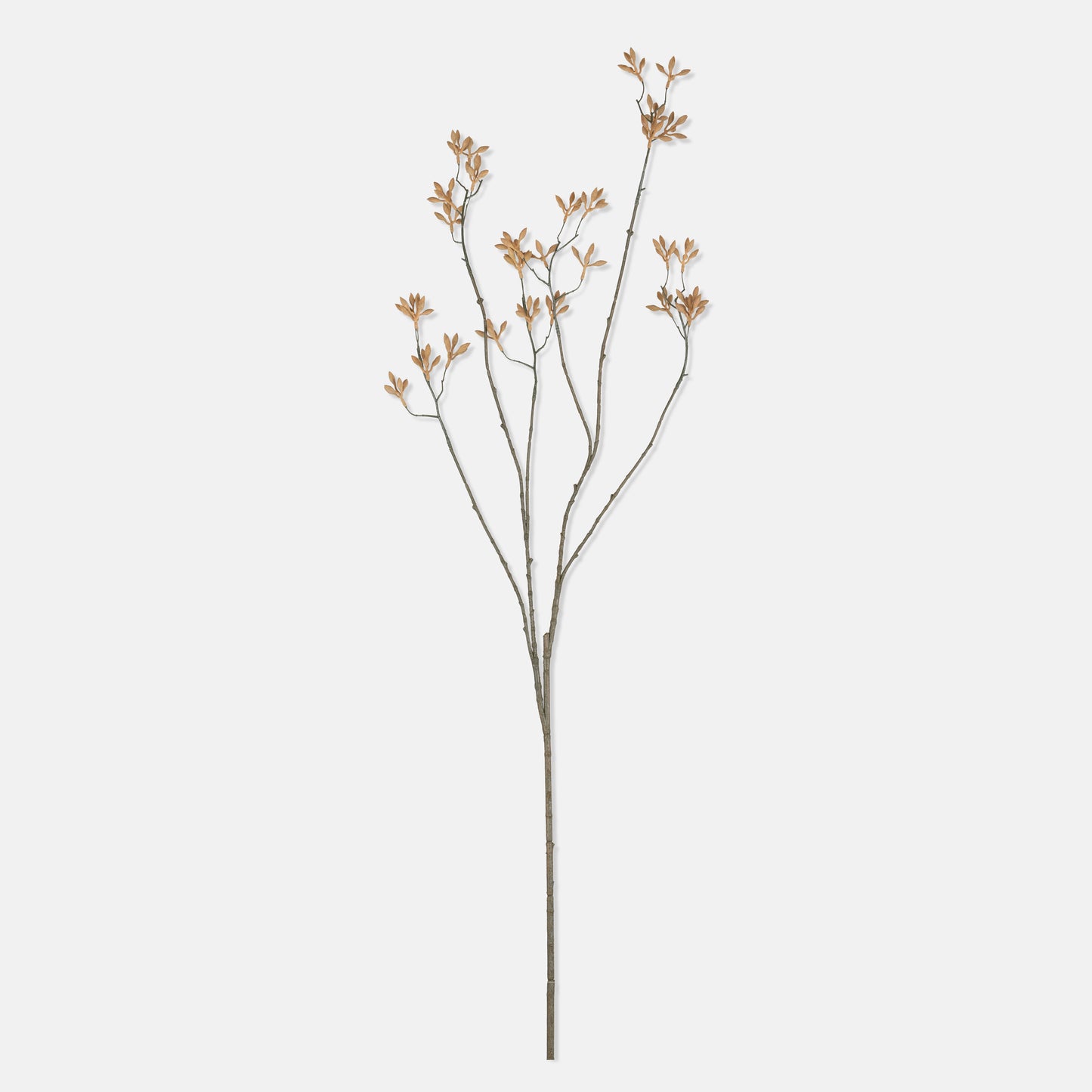ARTIFICIAL KANGAROO PAW - *Pre-order* SHIPPING MAY 2026