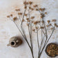 ARTIFICIAL KANGAROO PAW - *Pre-order* SHIPPING MAY 2026