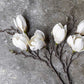 ARTIFICIAL MAGNOLIA - *Pre-order* SHIPPING July 2026
