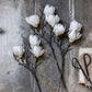 ARTIFICIAL MAGNOLIA - *Pre-order* SHIPPING July 2026