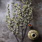 ARTIFICIAL MYRTLE BLOSSOM - *Pre-order* SHIPPING July 2026