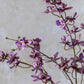 ARTIFICIAL ONSIDIUM ORCHID