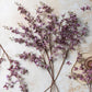 ARTIFICIAL ONSIDIUM ORCHID