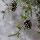 ARTIFICIAL PINE BRANCH FOREST - *Pre-order* SHIPPING July 2026