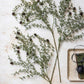 ARTIFICIAL PINE BRANCH FOREST - *Pre-order* SHIPPING July 2026