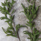 ARTIFICIAL PINE NEEDLE BRANCH - *Pre-order* SHIPPING July 2026