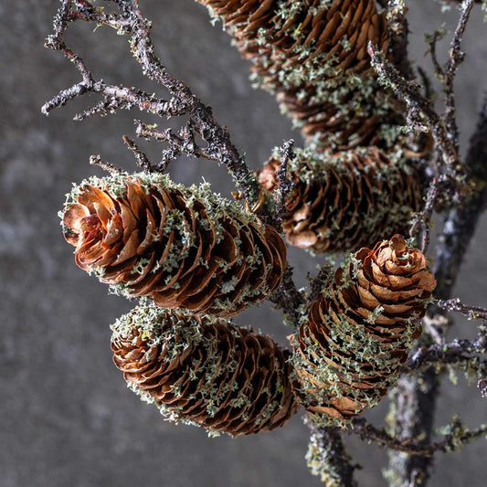 ARTIFICIAL PINECONE BRANCH, LARGE - *Pre-order* SHIPPING MAY 2026