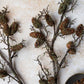 ARTIFICIAL PINECONE BRANCH, LARGE - *Pre-order* SHIPPING MAY 2026