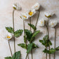 ARTIFICIAL POPPY, WHITE