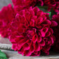ARTIFICIAL REAL TOUCH DAHLIA, RUBY - *Pre-order* SHIPPING July 2026