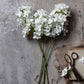 ARTIFICIAL REAL TOUCH HYDRANGEA CONE, CREAM - *Pre-order* SHIPPING July 2026