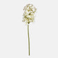 ARTIFICIAL REAL TOUCH HYDRANGEA CONE, CREAM - *Pre-order* SHIPPING July 2026