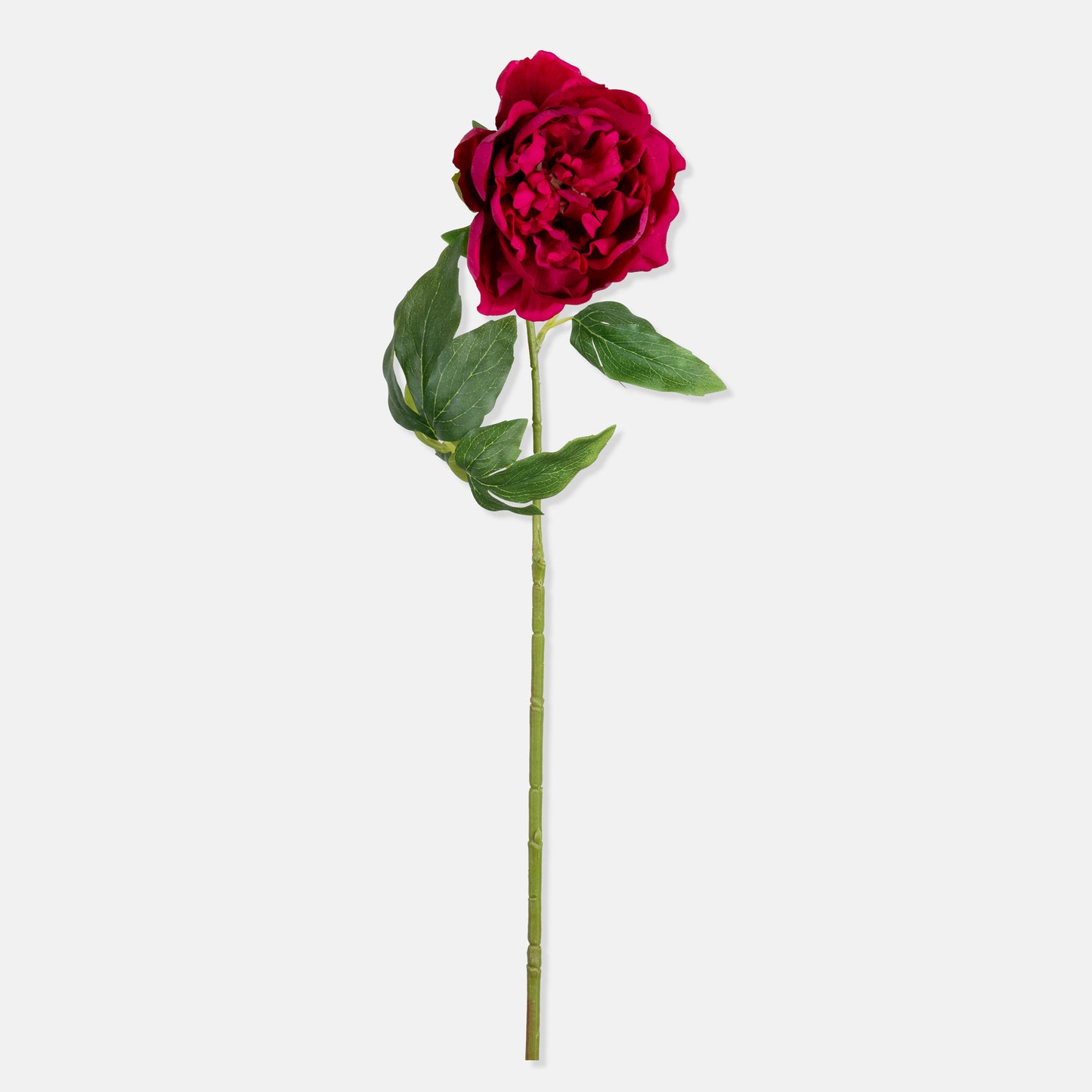 ARTIFICIAL REAL TOUCH PEONY - *Pre-order* SHIPPING July 2026