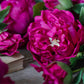 ARTIFICIAL REAL TOUCH PEONY, RUBY - *Pre-order* SHIPPING July 2026