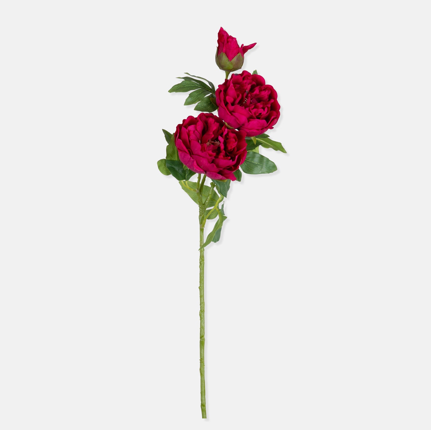 ARTIFICIAL REAL TOUCH PEONY, RUBY - *Pre-order* SHIPPING July 2026