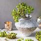 ARTIFICIAL ROSEHIP BUNCH, OLIVE
