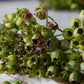 ARTIFICIAL ROSEHIP BUNCH, OLIVE