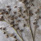 ARTIFICIAL SALIX BERRY - *Pre-order* SHIPPING July 2026
