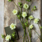 ARTIFICIAL SCABIOUS FLOWER, CREAM