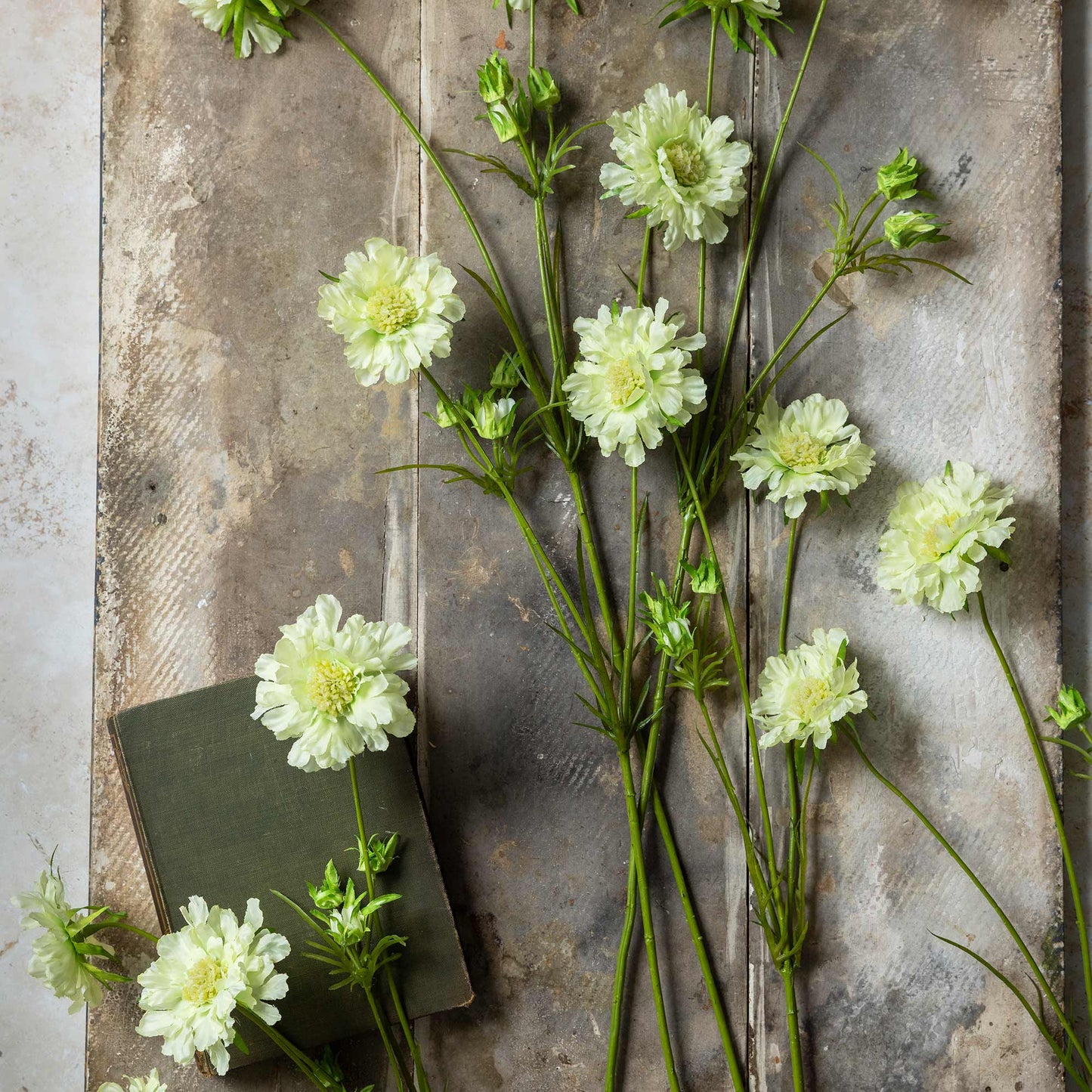 ARTIFICIAL SCABIOUS FLOWER, CREAM