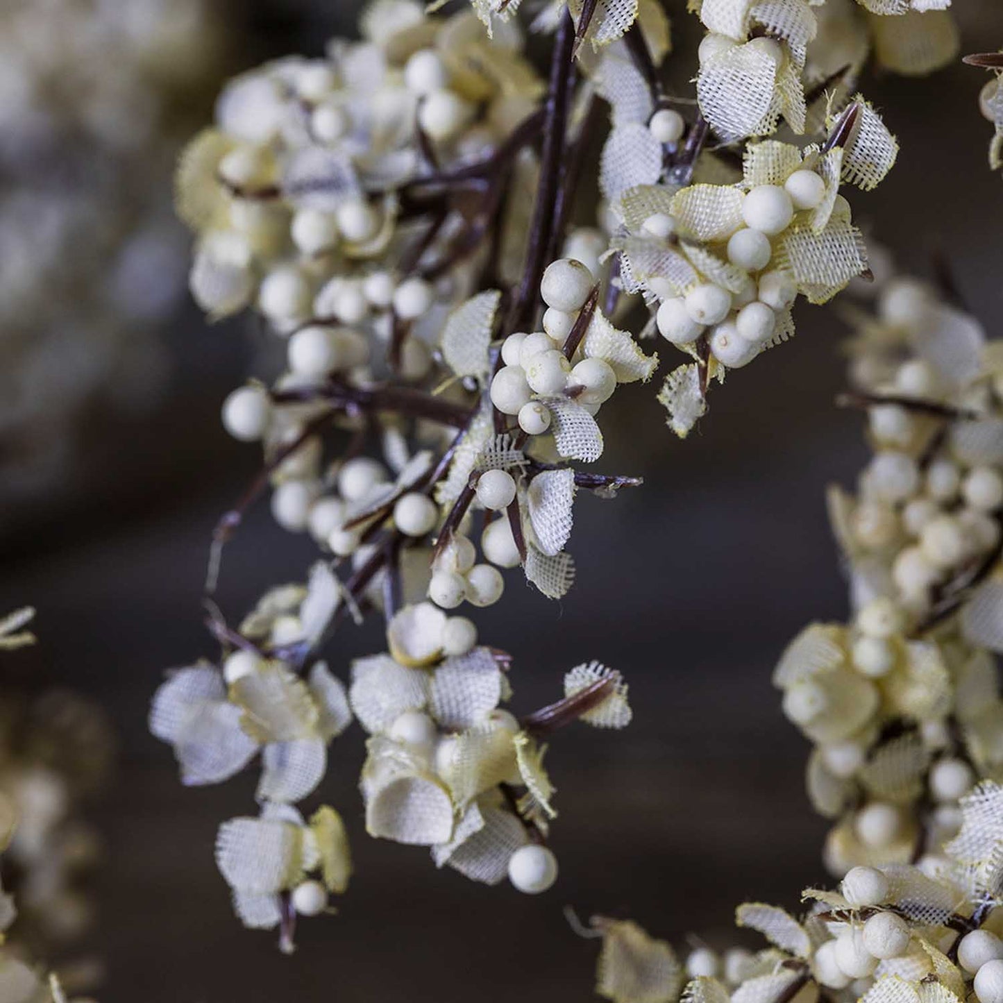 ARTIFICIAL SEDGE, WINTER DEW - *Pre-order* SHIPPING July 2026