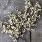 ARTIFICIAL SEDGE, WINTER DEW - *Pre-order* SHIPPING July 2026