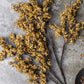 ARTIFICIAL SEDGE WINTER, SAFFRON - *Pre-order* SHIPPING July 2026