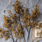ARTIFICIAL SEDGE WINTER, SAFFRON - *Pre-order* SHIPPING July 2026